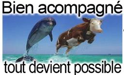 Cliquez pour agrandir l'image Cliquez pour agrandir l'image